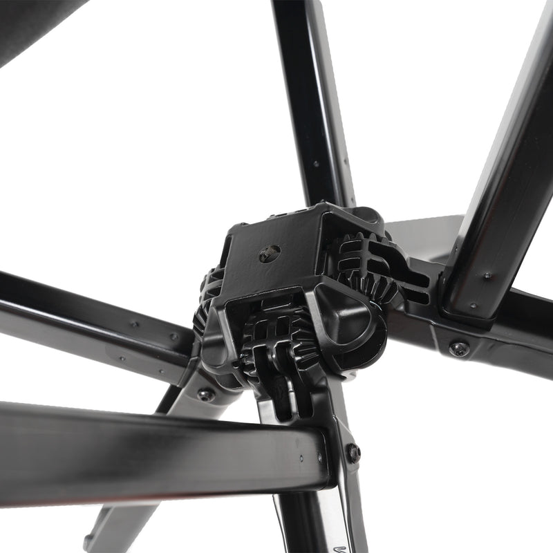 Load image into Gallery viewer, GO GO CHAIR BCNA