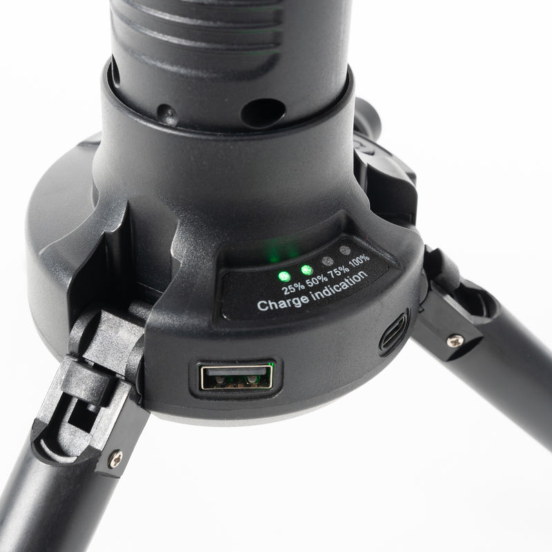 Load image into Gallery viewer, 2 IN 1 FAN AND LIGHT