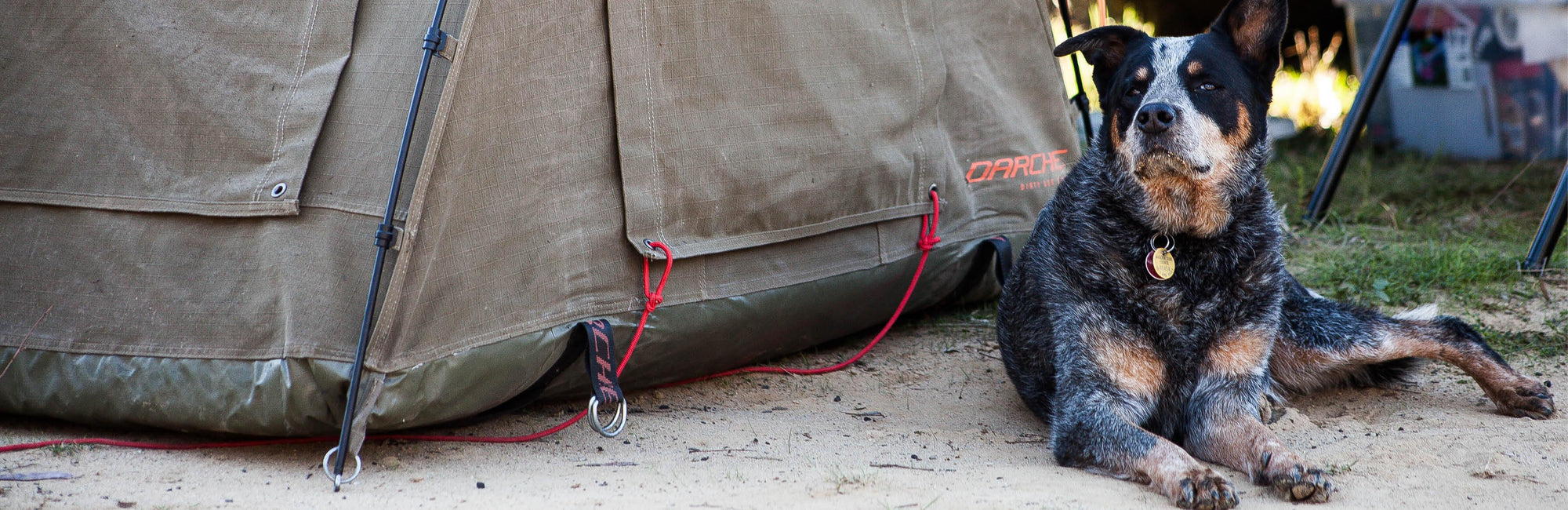 Swag Accessories DARCHE®