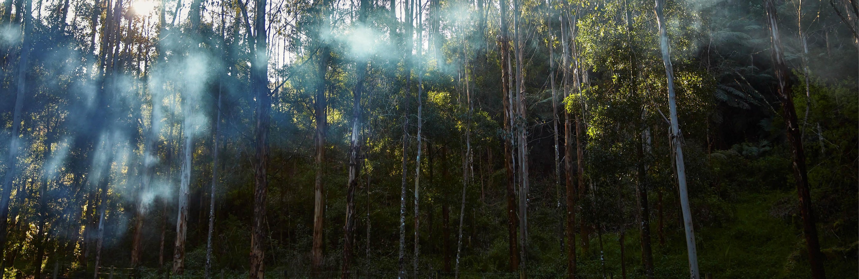 Hard Shell Roof Top Tents DARCHE Australia DARCHE®